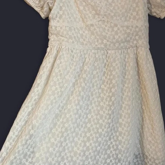 Altar'd State Cream Floral Embroidered Textured Mini Dress - Picture 4 of 10